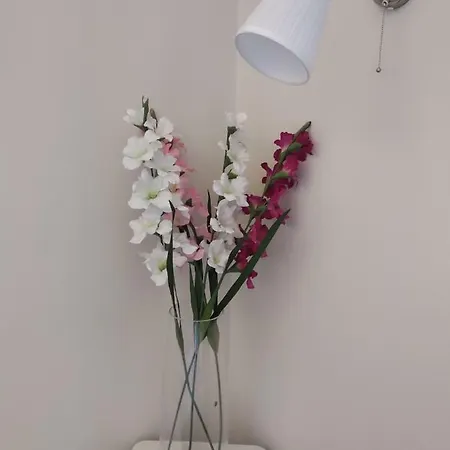 Apartment Rakoczi Ut 63. *